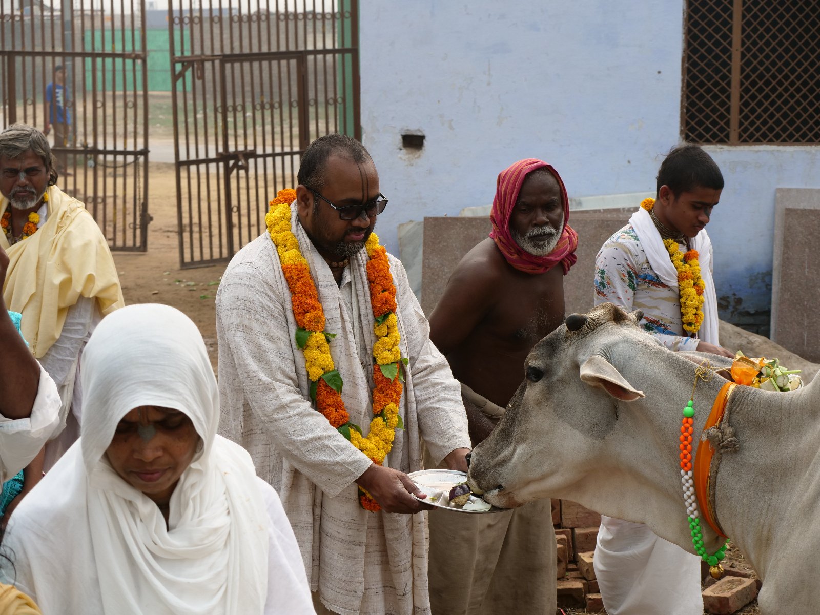  125 Gopashtami Radha kunda Govardhan 19.11.04